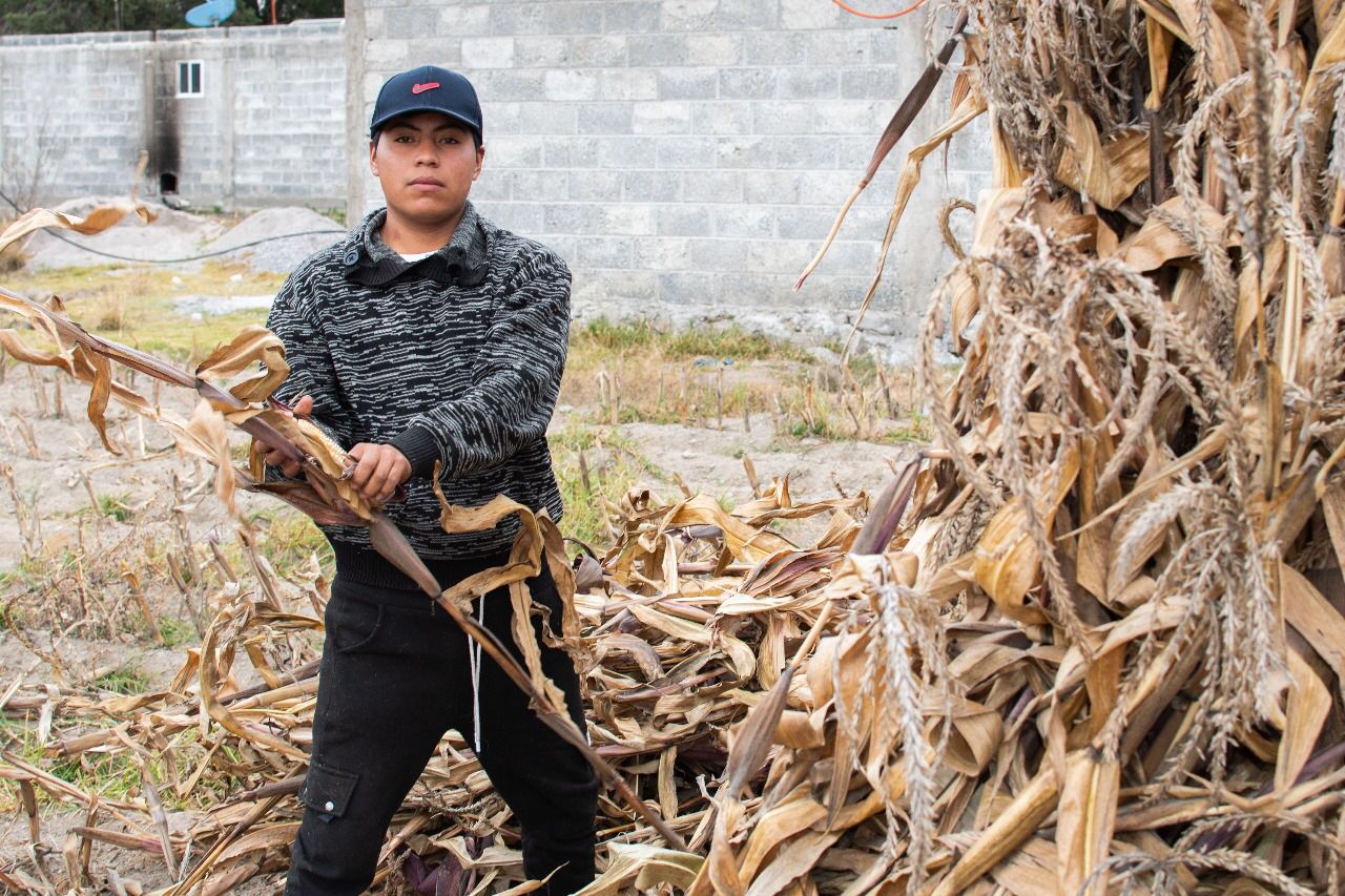 Invita gobierno de Huamantla a productores agrícolas a participar en el Programa de Apoyo al sector 2024